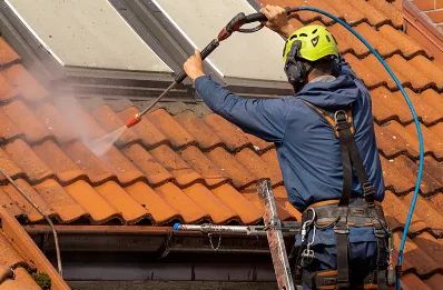 Démoussage et hydrofuge de toiture à Monein